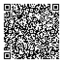 QR код "DiSale"