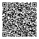 QR код "СарСервис"