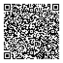 QR код "Дом Денди"
