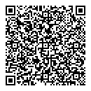 QR код "Лексус"