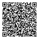 QR код "Домино"