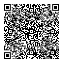 QR код "Влади"