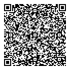 QR код "Домино"