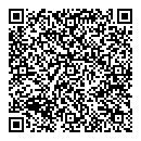 QR код "PROfessional style"