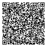 QR код "Сияние Севера"