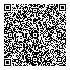 QR код "Глобус"