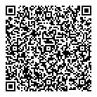 QR код "Little star"