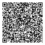 QR код "Laser Pegs"