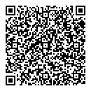 QR код "Ledi эффект"