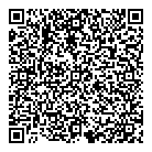 QR код "D-style"