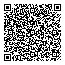 QR код "Алиса"