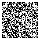 QR код "UFO"