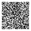 QR код "Шторм"