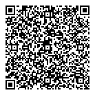 QR код "Светлое-темное"