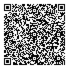 QR код "Звездный"