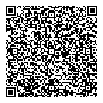 QR код "Бис"