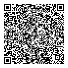 QR код "Хаябуса"
