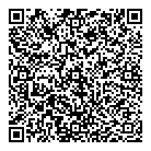 QR код "Тайзер"