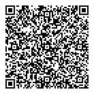 QR код "Джерси"