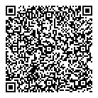 QR код "Звёздный"