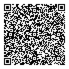 QR код "Альфа-Аудит"
