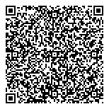 QR код "Профессионал"