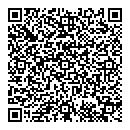 QR код "Чайка"