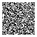 QR код "Циклон"