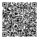 QR код "Дизель"