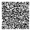 QR код "Копейка"