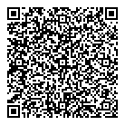 QR код "Аэлита"