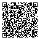 QR код "Сова"