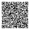 QR код "City Cats"