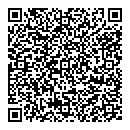 QR код "Брикс"