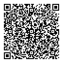 QR код "Брикс"