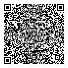 QR код "Арлекин"