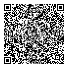 QR код "Звездный"