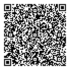 QR код "Звездный"