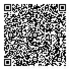 QR код "PROmotion59.ru"