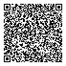 QR код "ДНС"