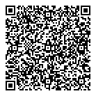 QR код "ДНС"