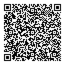 QR код "Молния"