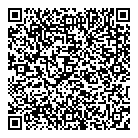 QR код "Mix Line"