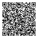 QR код "RANDOM Электро"