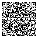 QR код "ДЛМ системс"