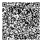 QR код "Сатурн"