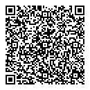 QR код "Solo"