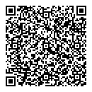 QR код "Бриджит"