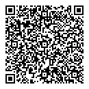 QR код "Аэлита"