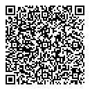 QR код "Алиса"